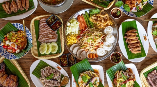 TumTumTheOriginalBearing23